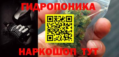 мдма Кингисепп