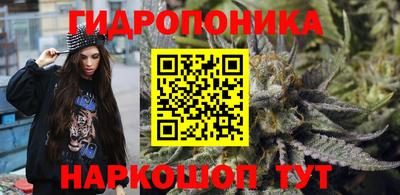 мдма Кингисепп