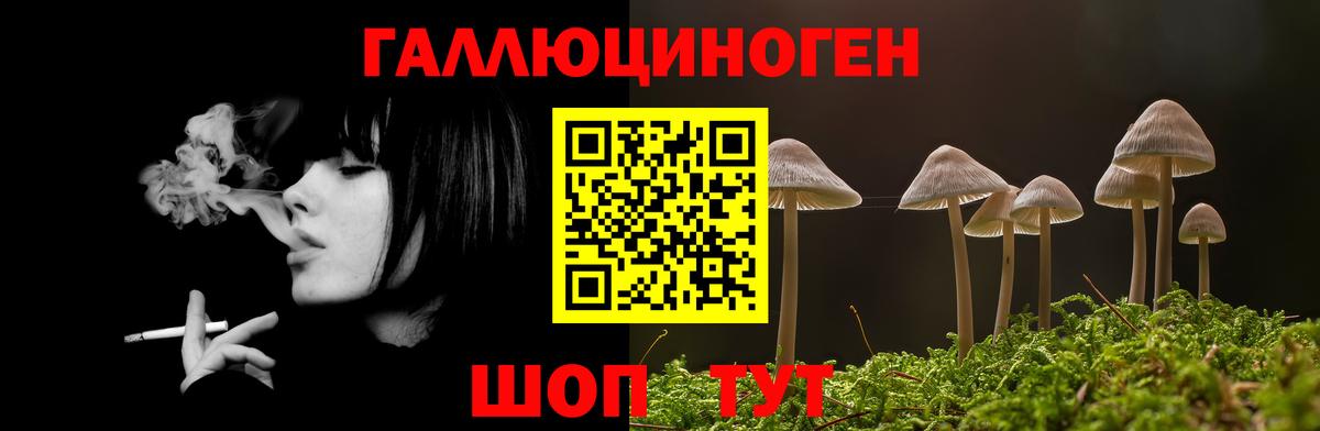 Галлюциногенные грибы Magic Shrooms  Вход с VPN  Усть-Илимск 